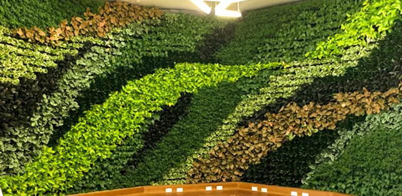 iosin.vn đang cập nhật...